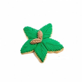 Starfish_Decorated_Cookie_as_a_Cycad3