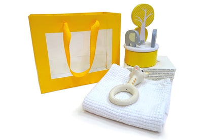 Gift Bags With Clear Window & Handle